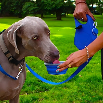 Laisse-pour-chien-boit-bleu