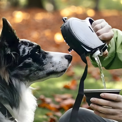 Laisse-pour-chien-boit-noir