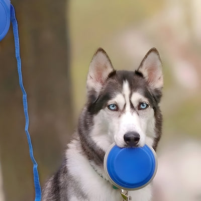 Laisse-pour-chien-gamelle