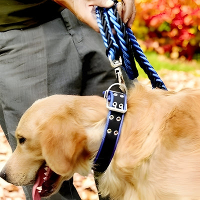 laisse-pour-chien-boucle-bleu-noir