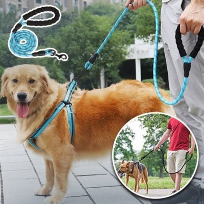 Laisse pour chien CONFORLEASH™ - La Caverne des Poilus