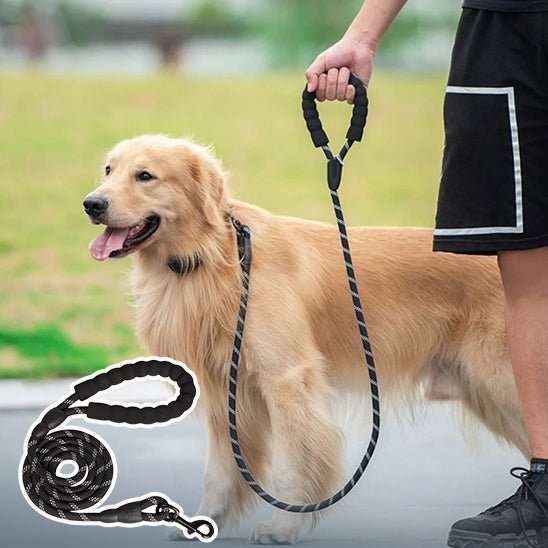 Laisse pour chien CONFORLEASH™ - La Caverne des Poilus