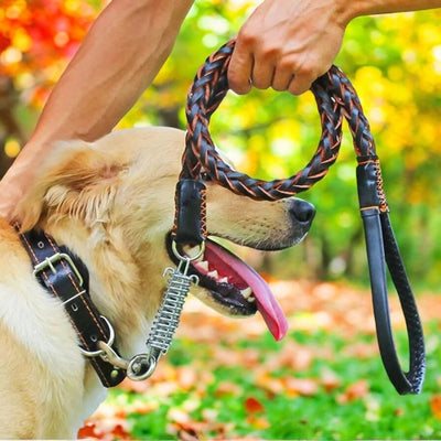 laisse-pour-chien-cuir-automne