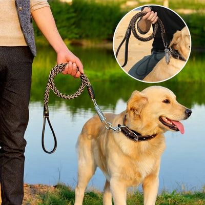 laisse-pour-chien-cuir-lac