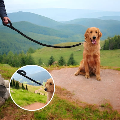 laisse-pour-chien-longueur