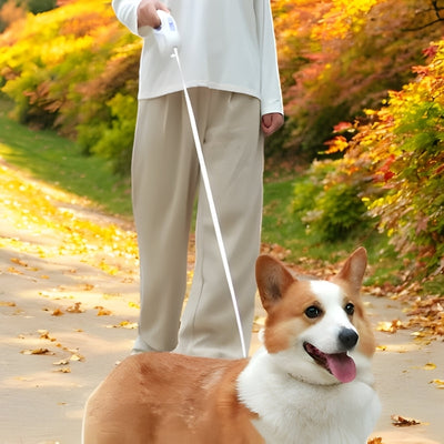 laisse-pour-chien-nocturne-longue