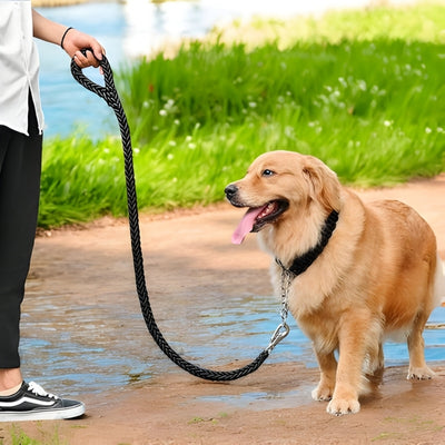 laisse-pour-chien-noir