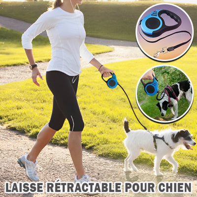 laisse-pour-chien-principale-rw